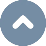 Chevron Circle Up SVG Icon